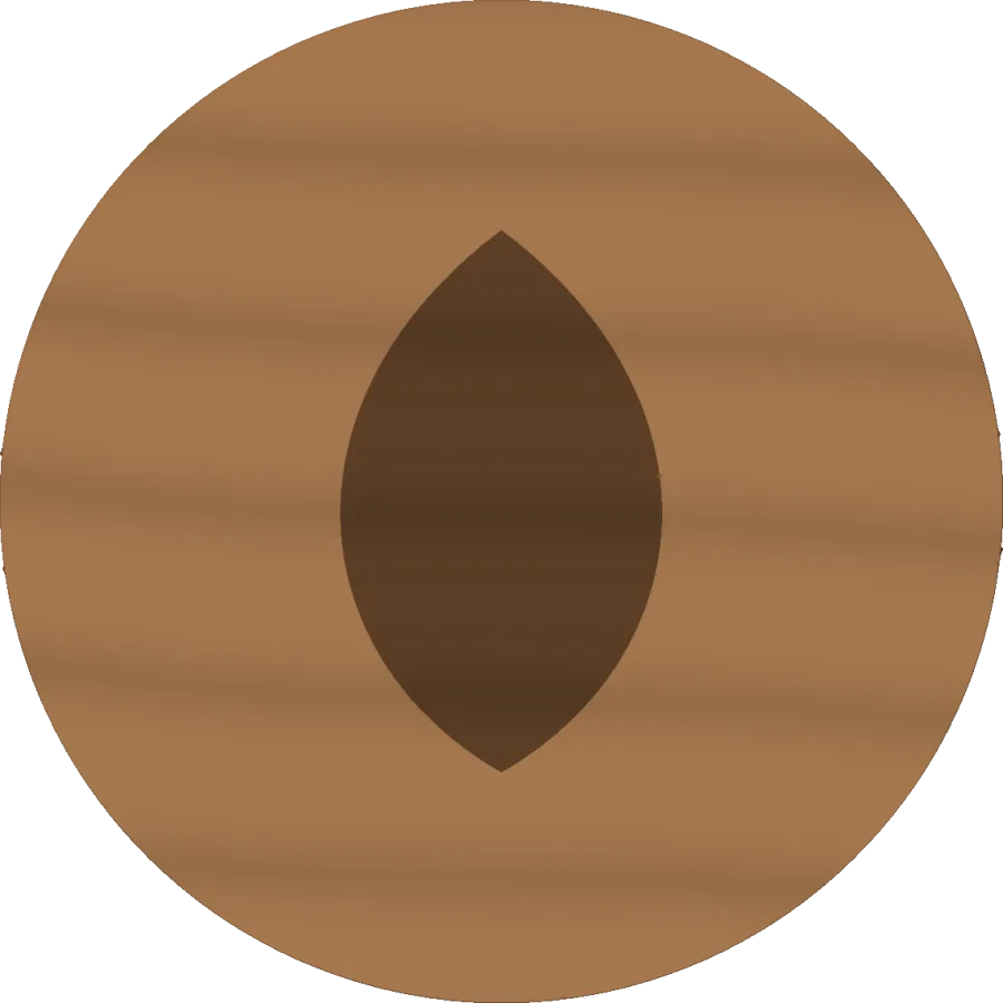 Inlaid coaster render